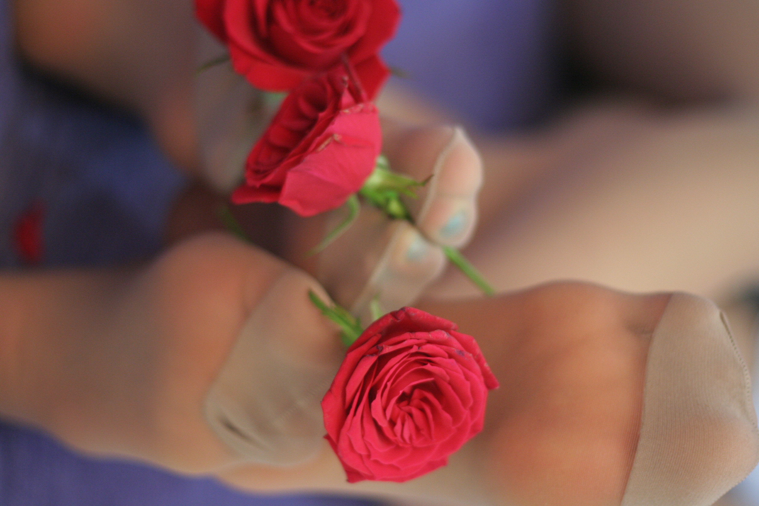 미분류 / 혜교 현화 2명 1081장 1.06GB